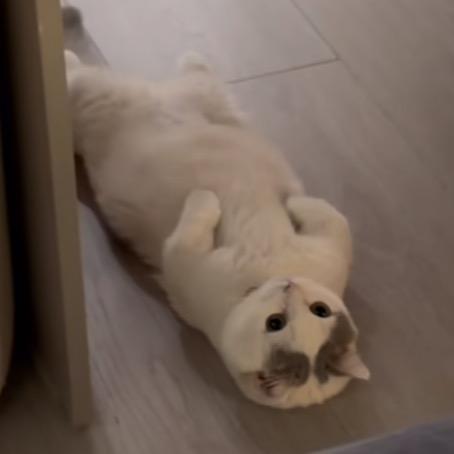 tt（墩墩自助鞋店）