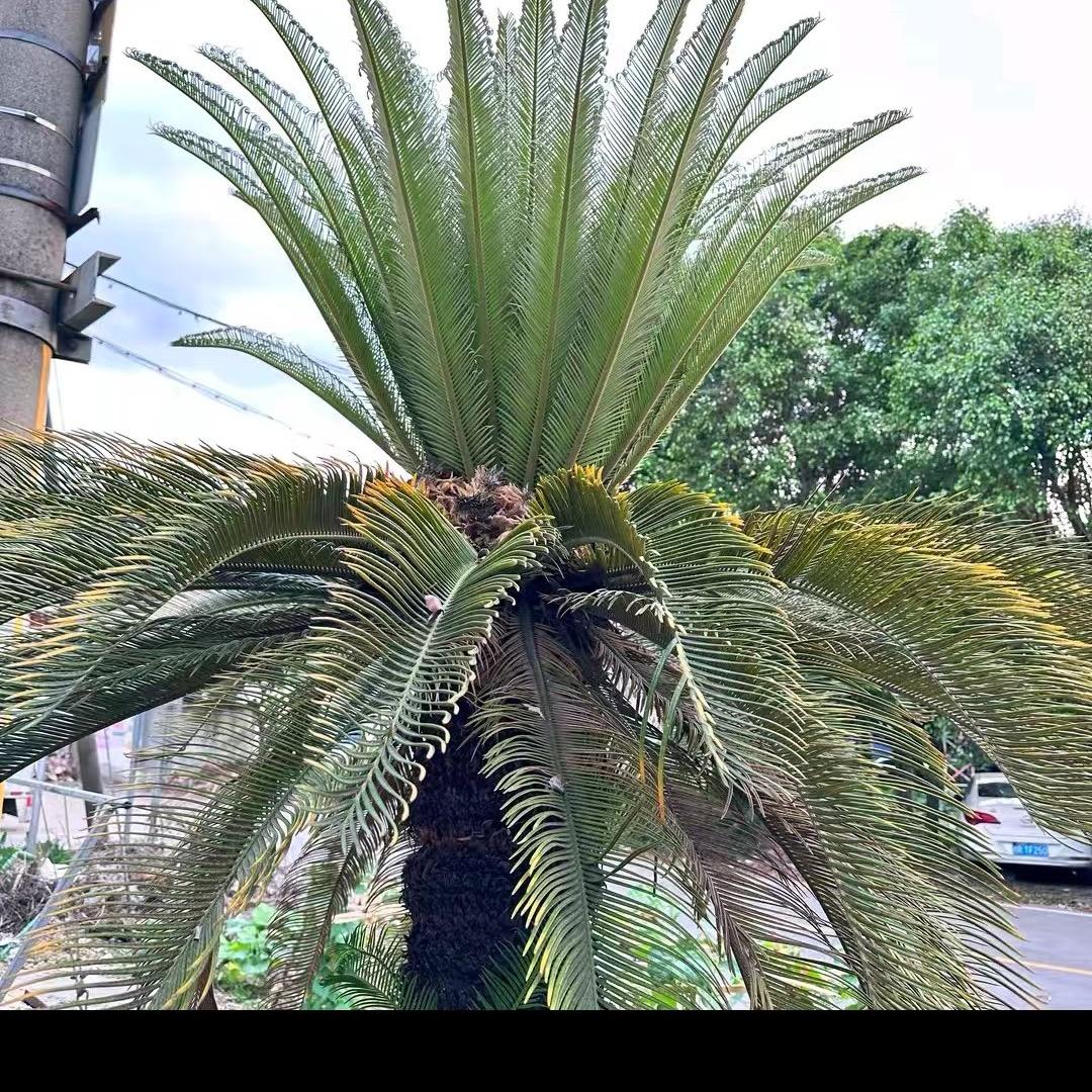 世界那么大还是遇见你