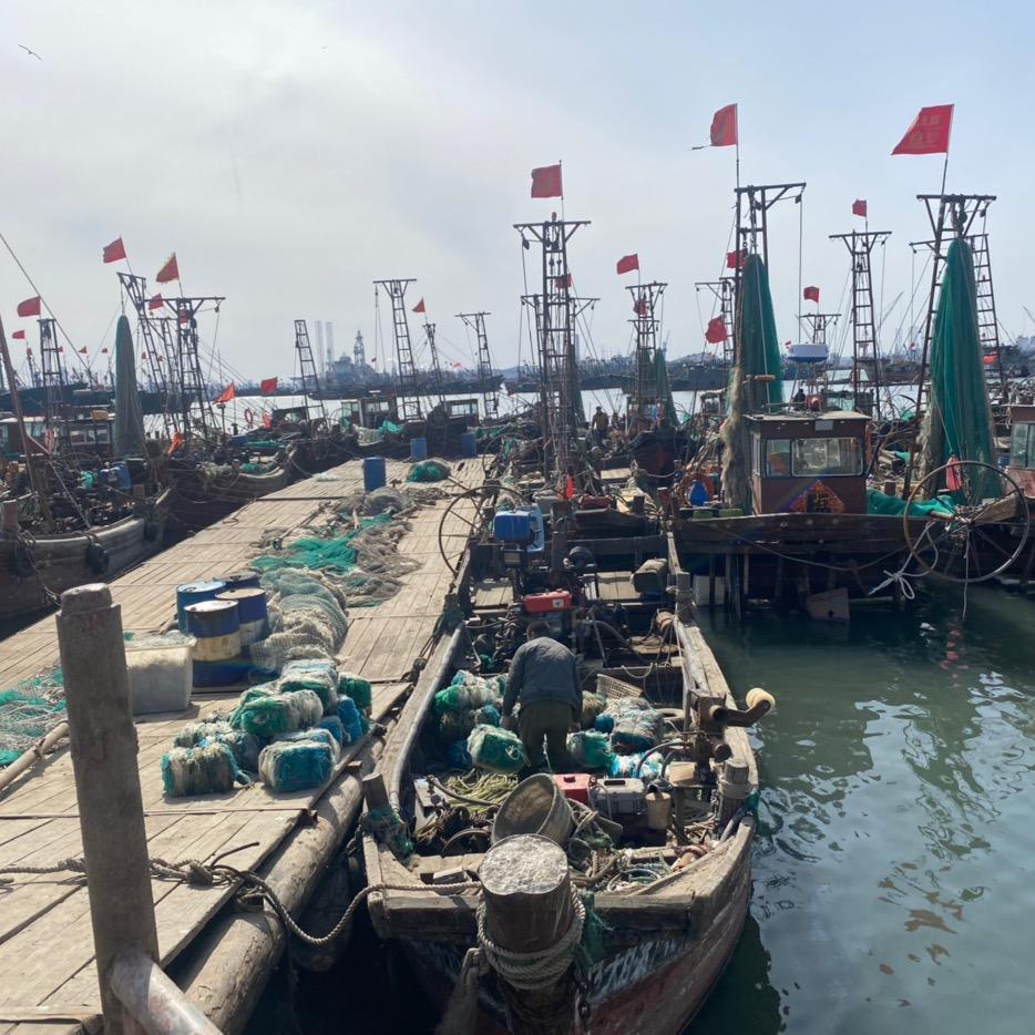 大连桃子海鲜