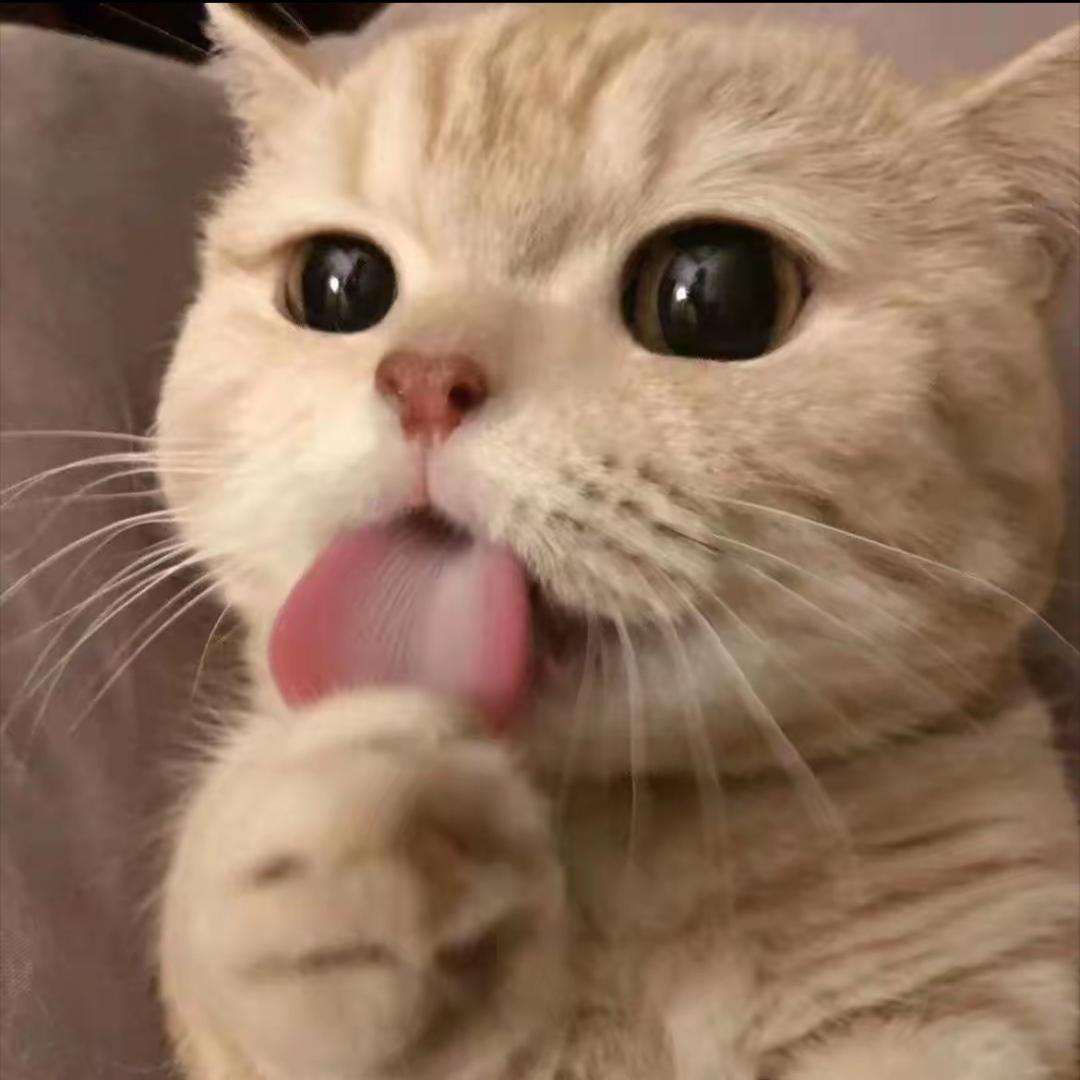 老鳯詳百年银楼