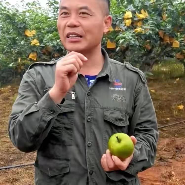 唐老师果园管理