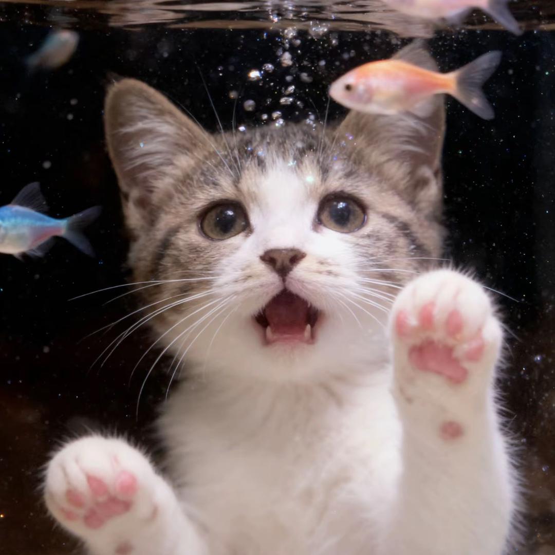 奶豆大王🙇🏻‍♀️（被亿口酥回关版）