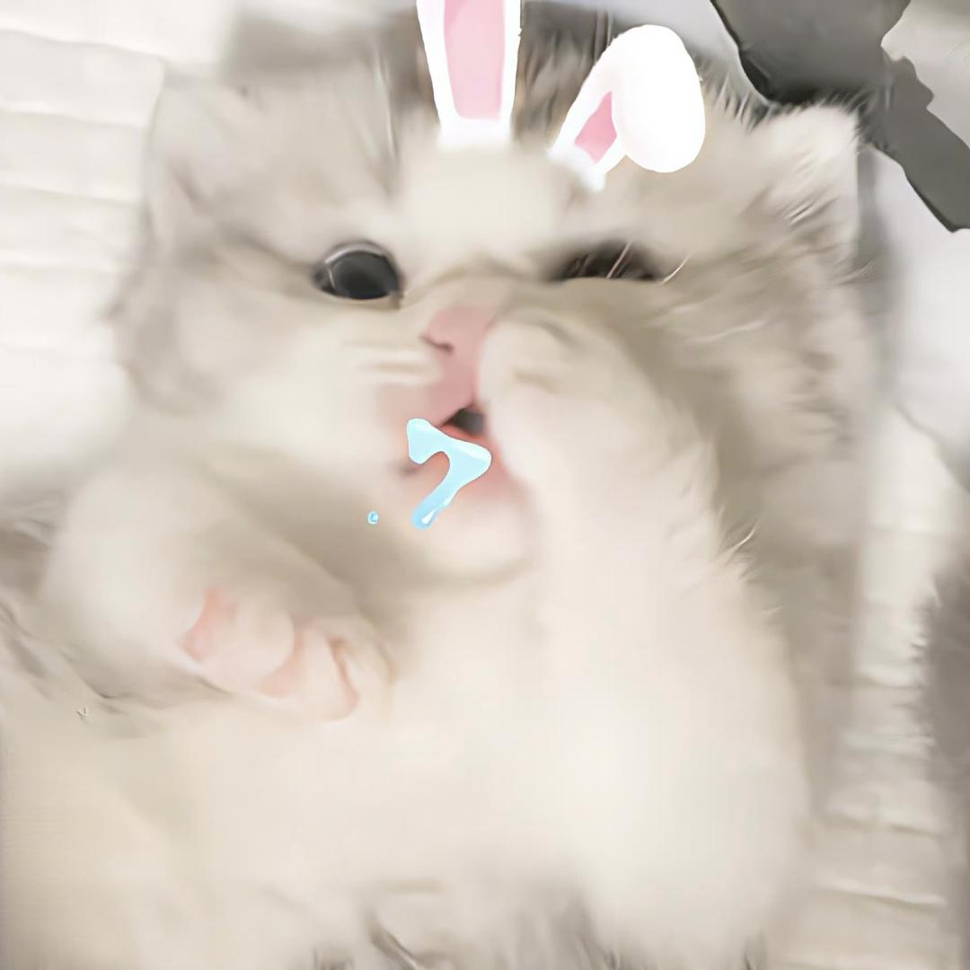 卷卷兔咪