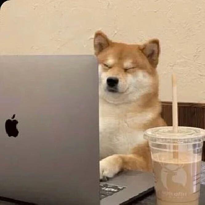 DY—等級號—抖斗等級