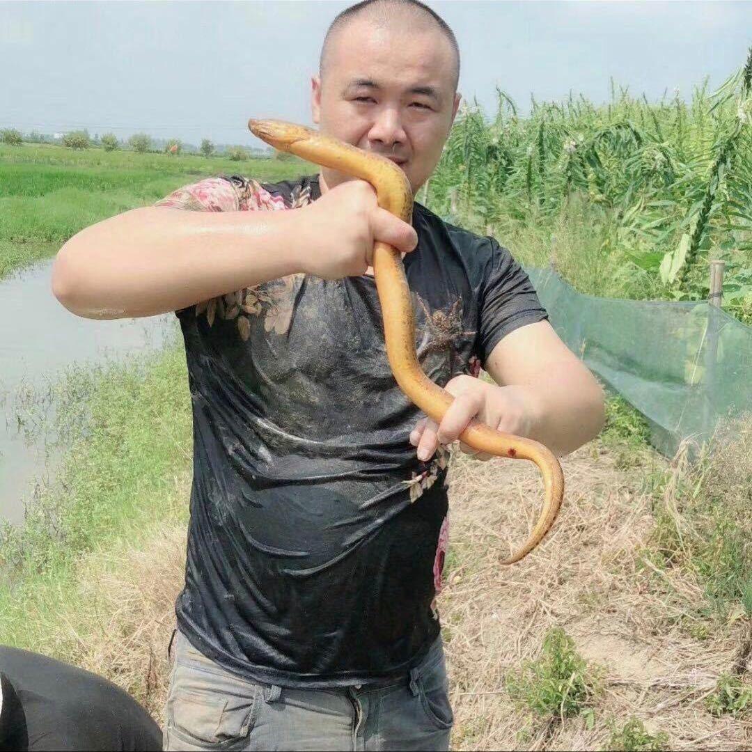 武汉鳝哥