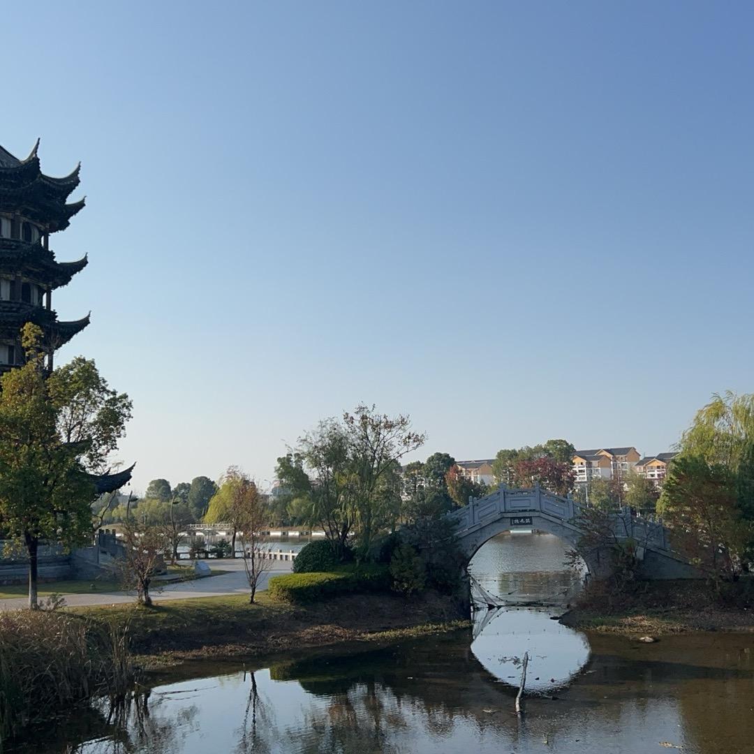 ，……………………