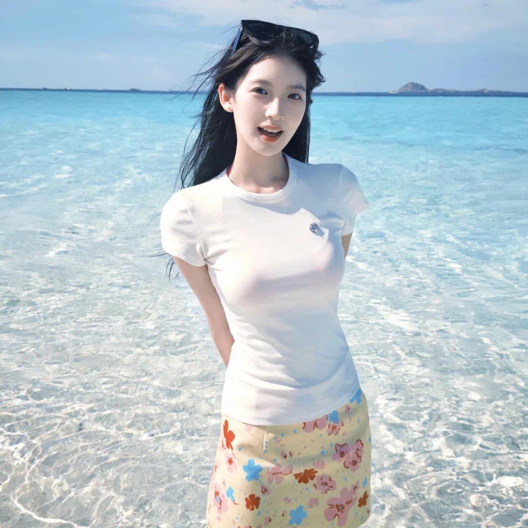 菠萝小微