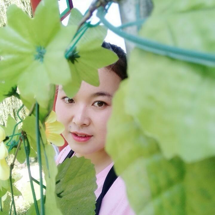 桂桂