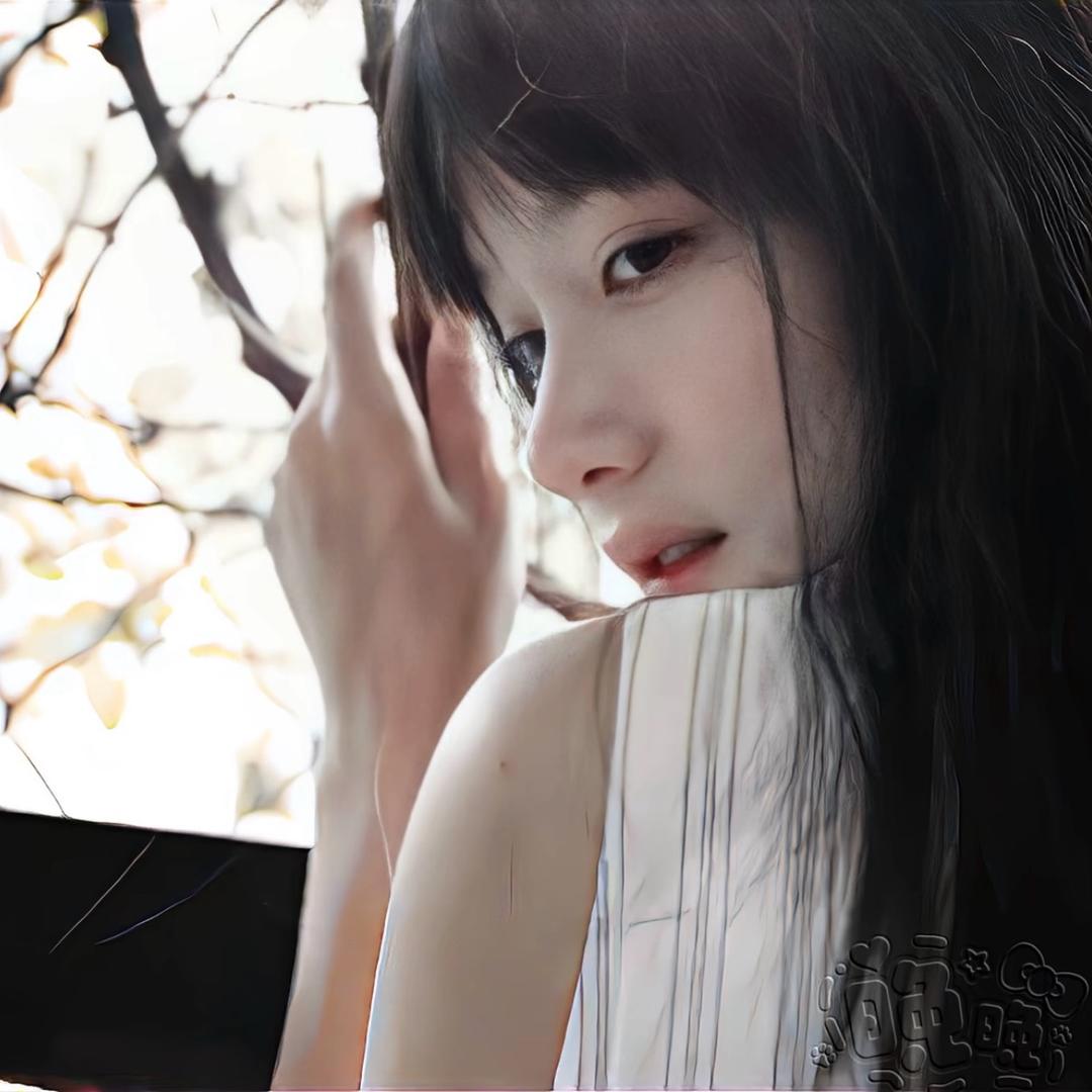 Qin ㋛