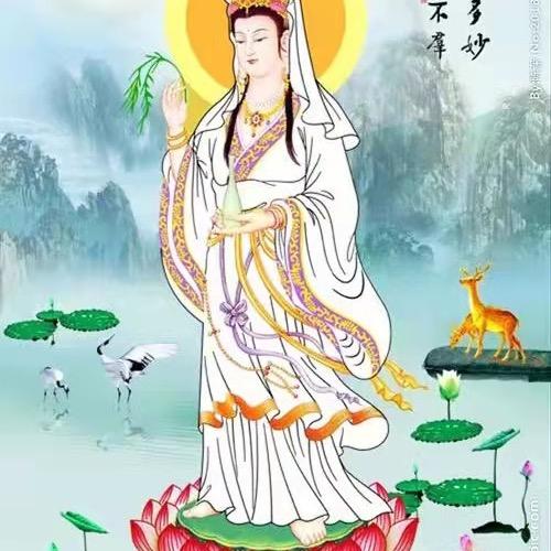 专收泡沫和胶纸