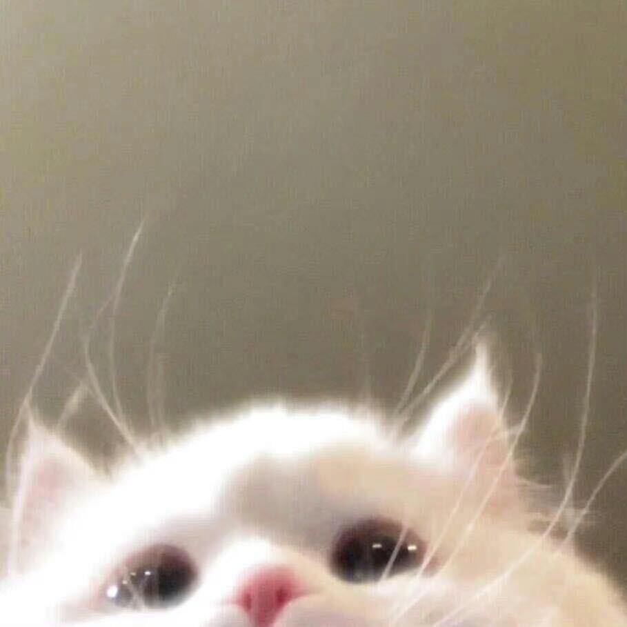 我爱吃碳水