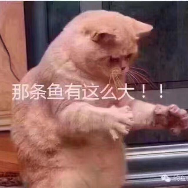 嫑忈