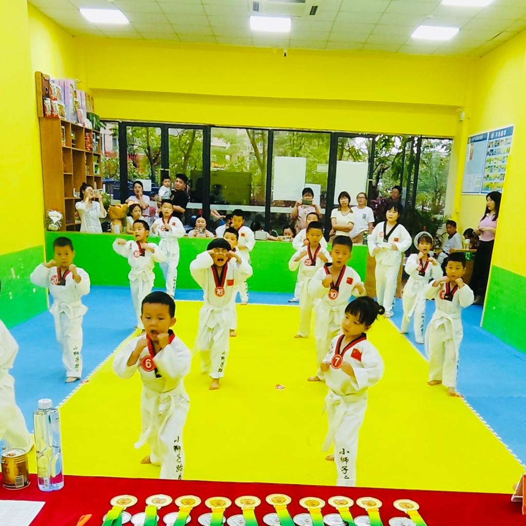 小狮子武道馆官方号