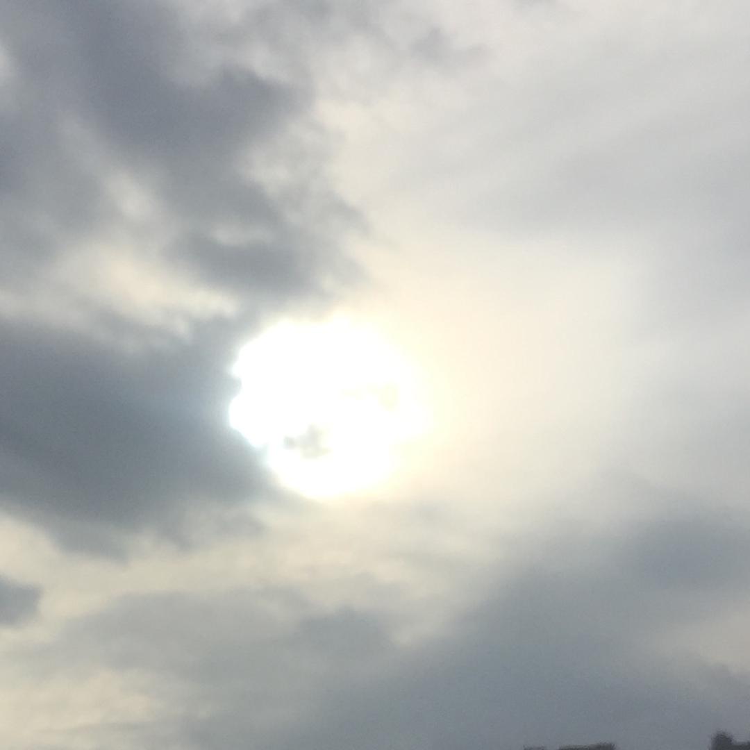 夜狼