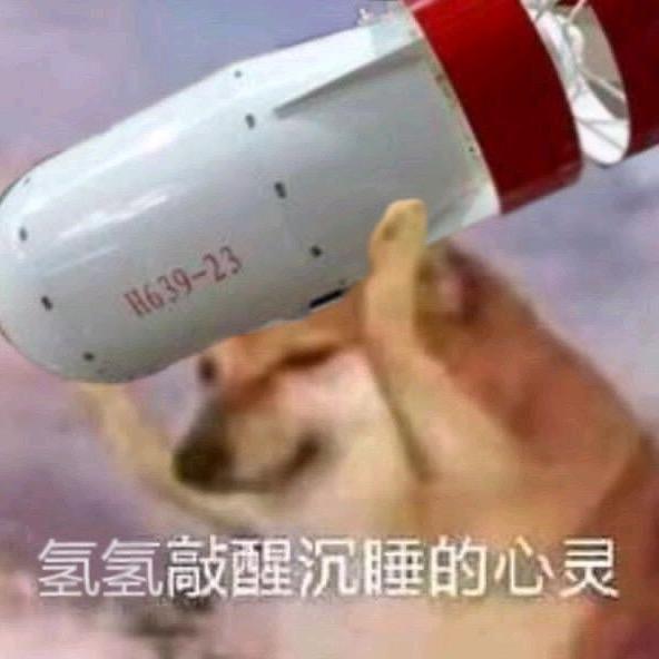 大驴