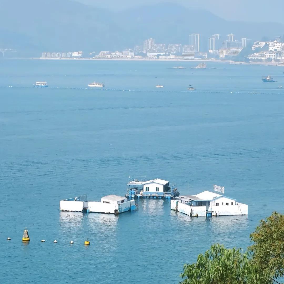 开讲啦