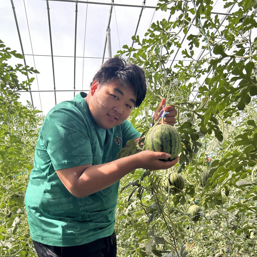 宝哥小胖生鲜超市