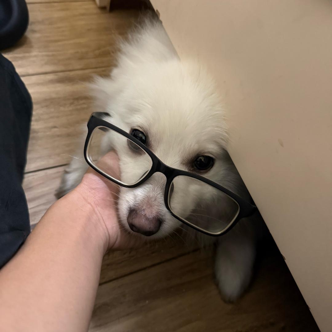 ❛‿˂̵✧