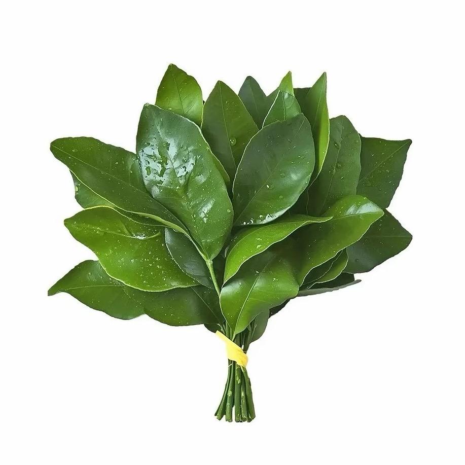 小今大王