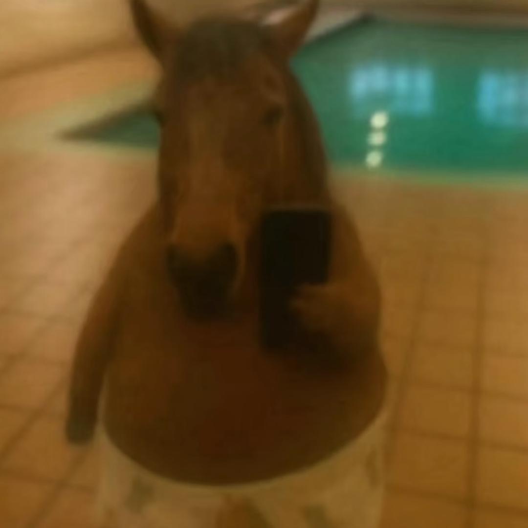 爱上霸道的我不必羞涩