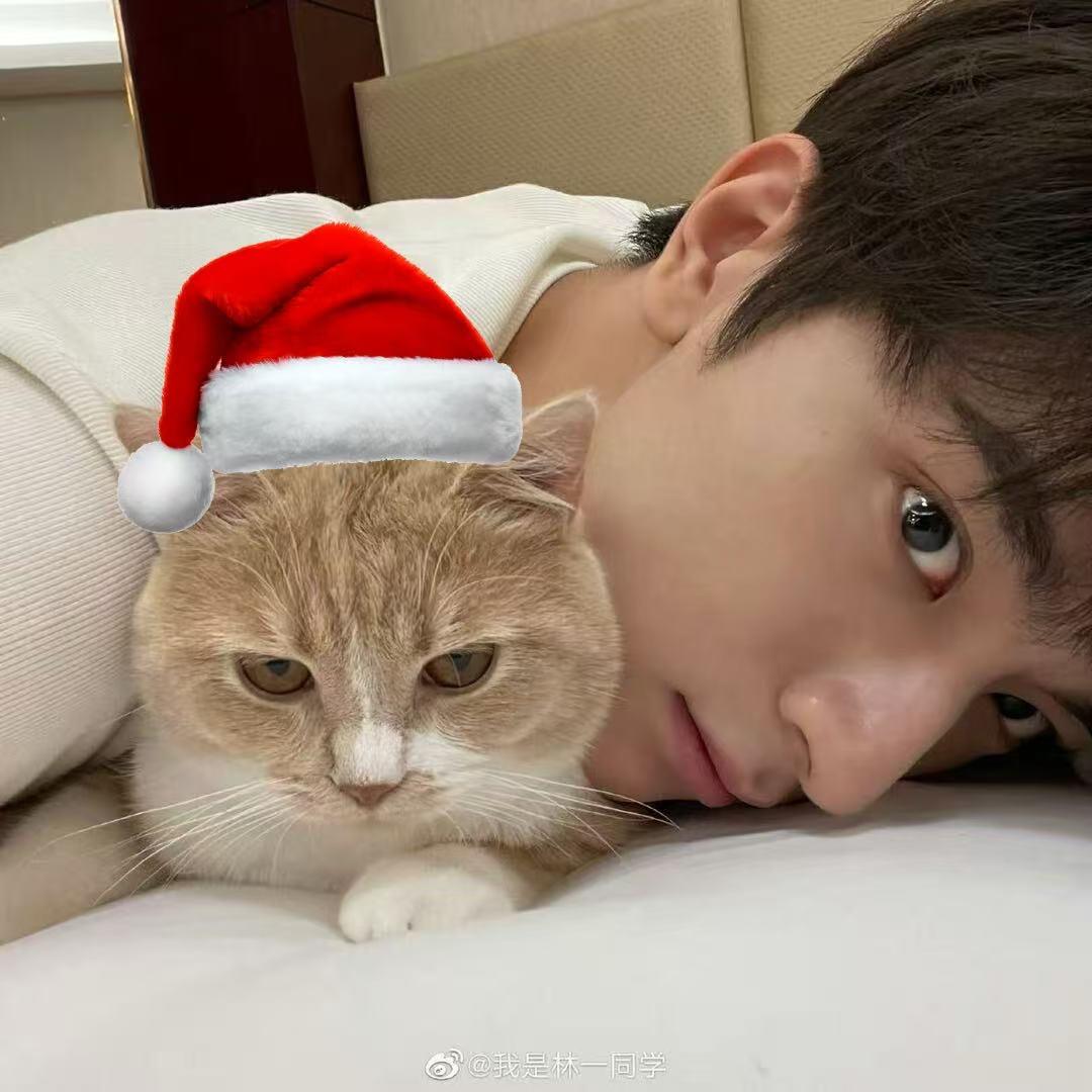 在睡亿会￴￴ ￴￴￴￴￴💤