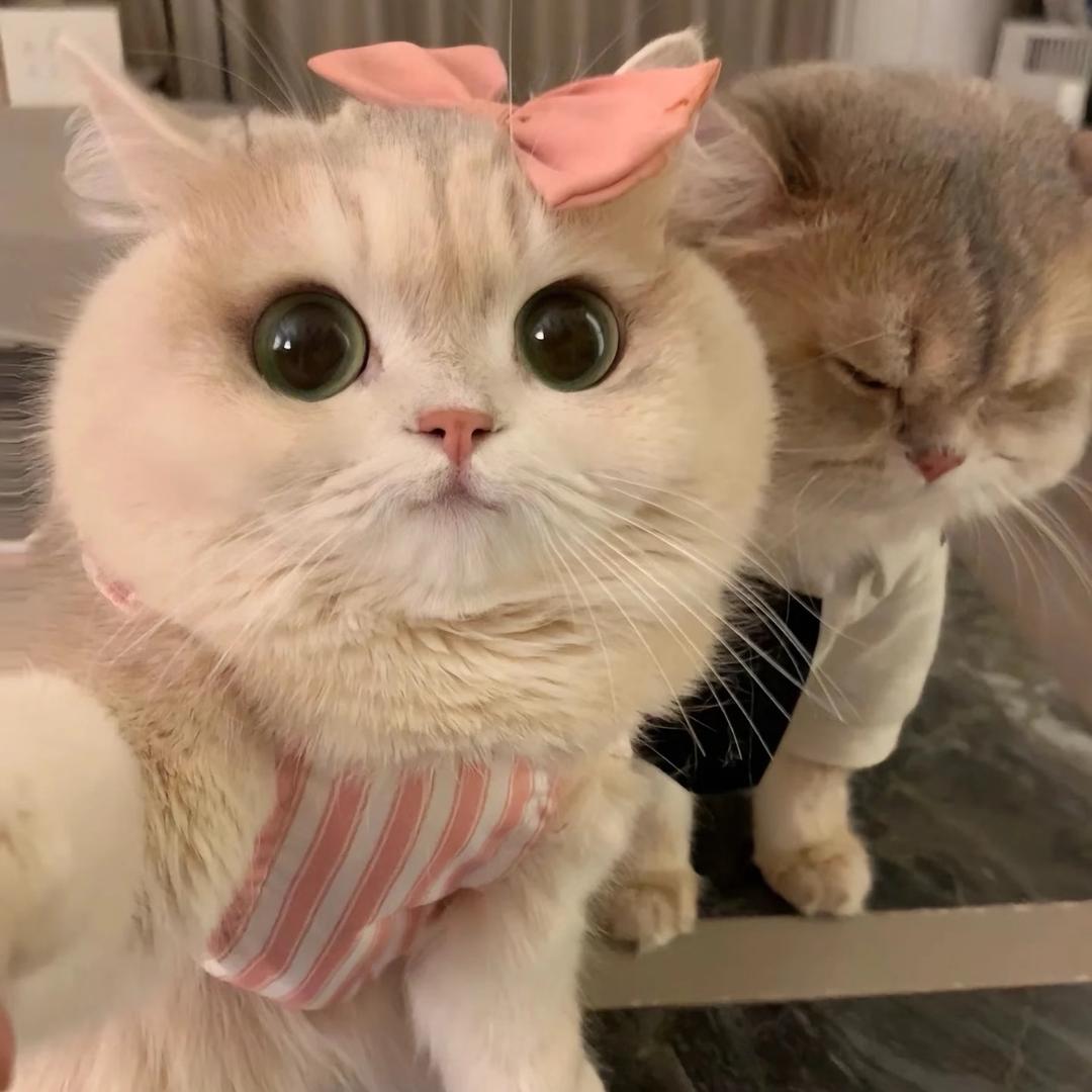 元子～