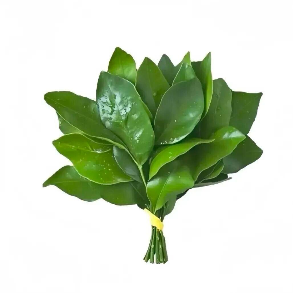 好运🍀