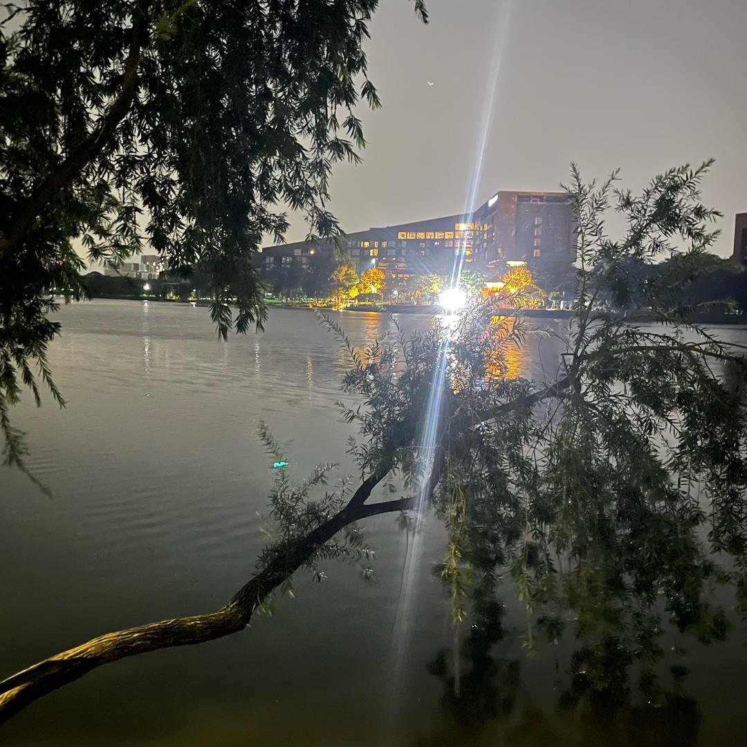 🥀এ᭄累了ꦿ谁💔疼ོ࿐ᩚ