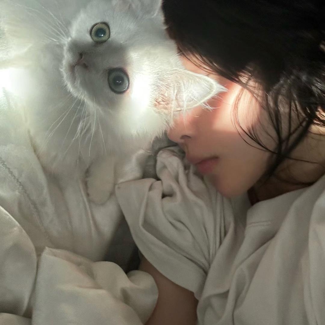 🐈