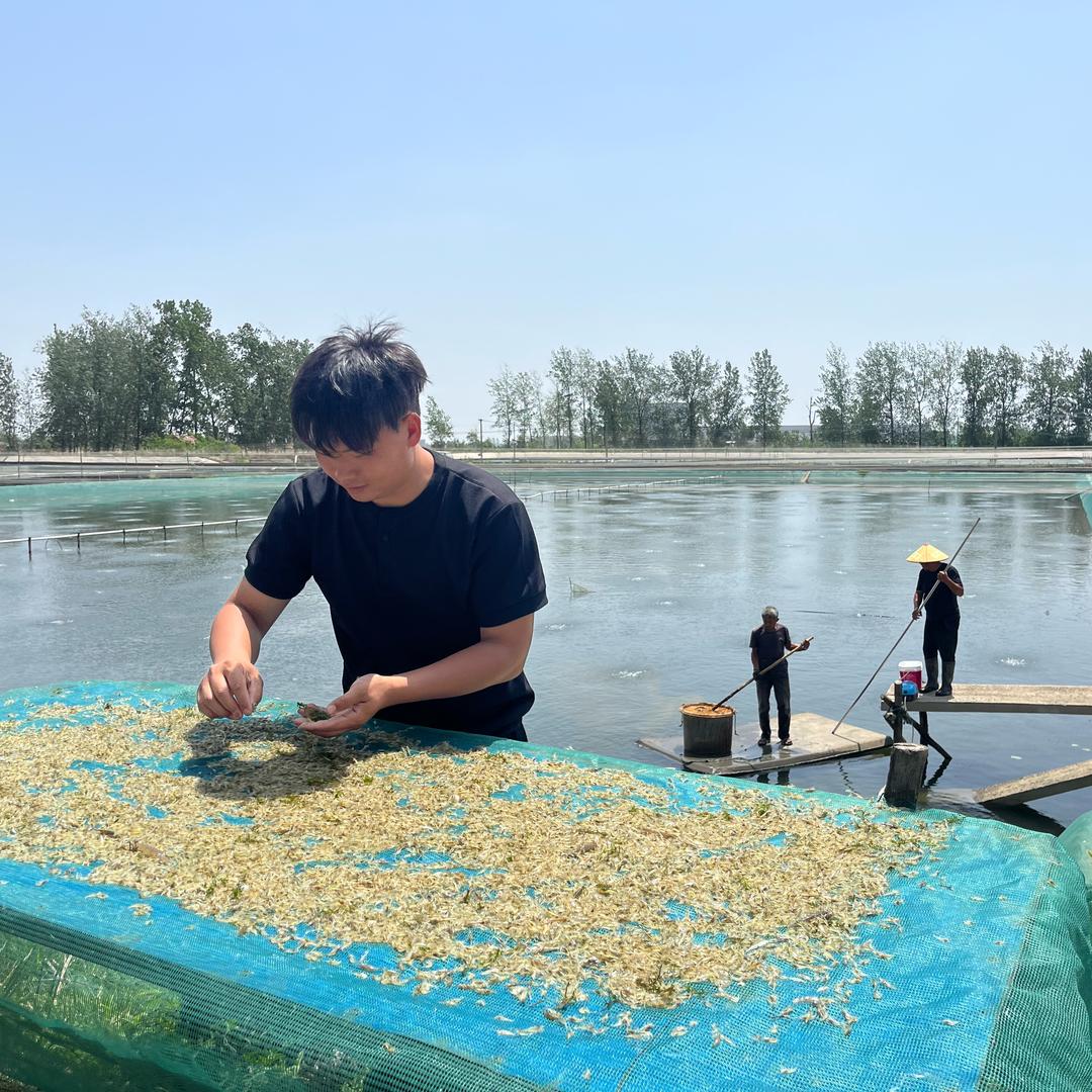 农场加乐