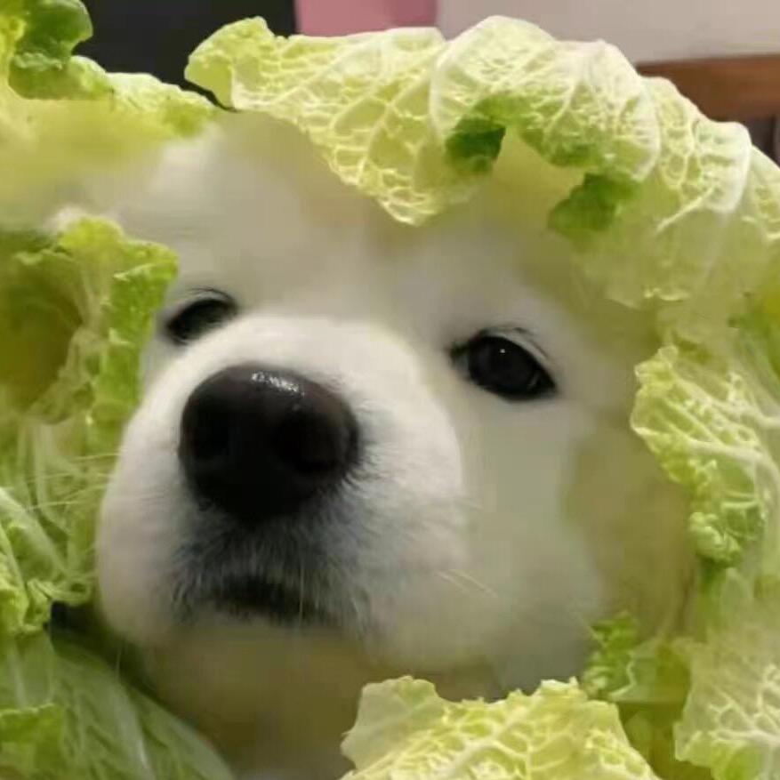 小怪兽杰克（见过张杰版）