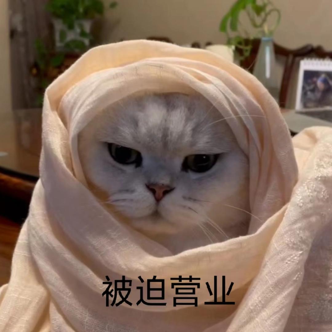 菠萝包