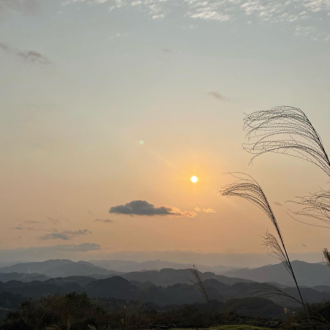 十一要上岸（备考进行时）