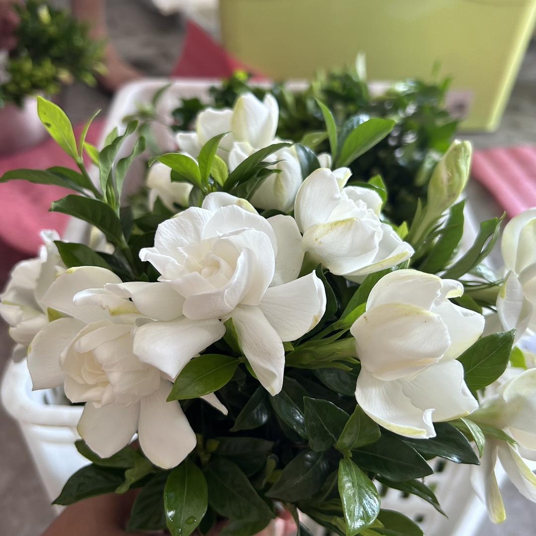 绿惠生活日用品