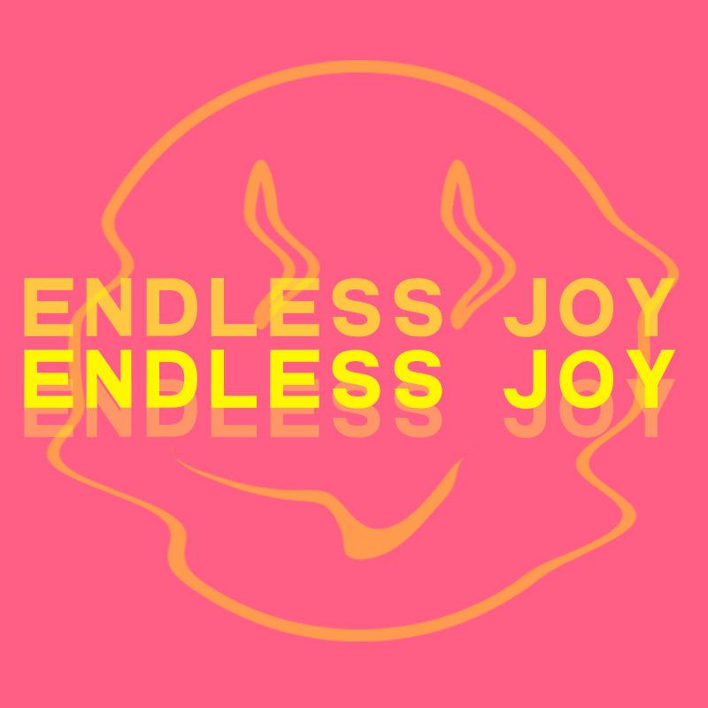 ENDLEES JOY男鞋