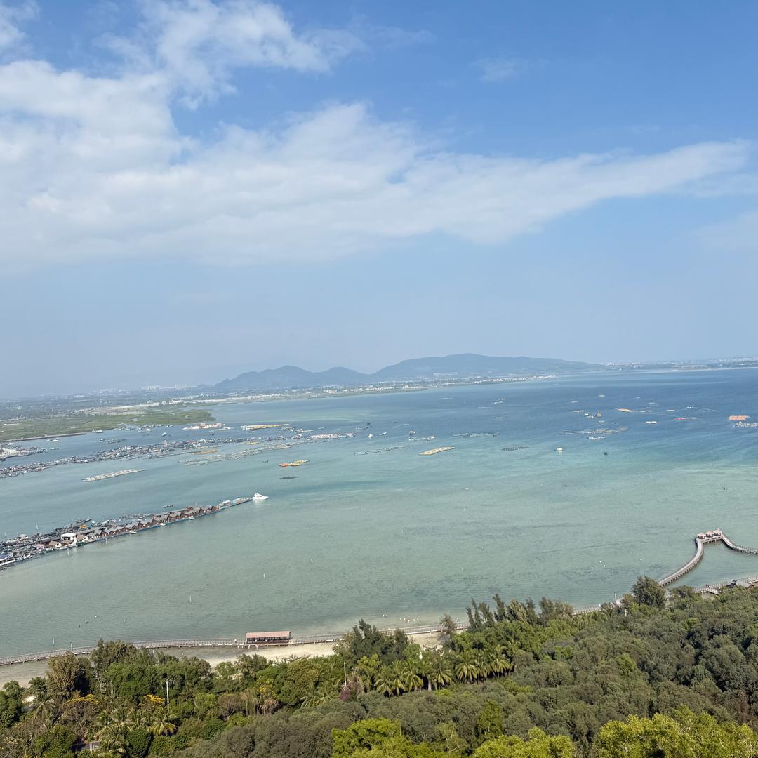 陌陌子