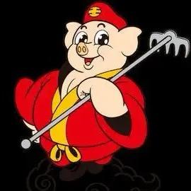 张正-龙霸天下plus