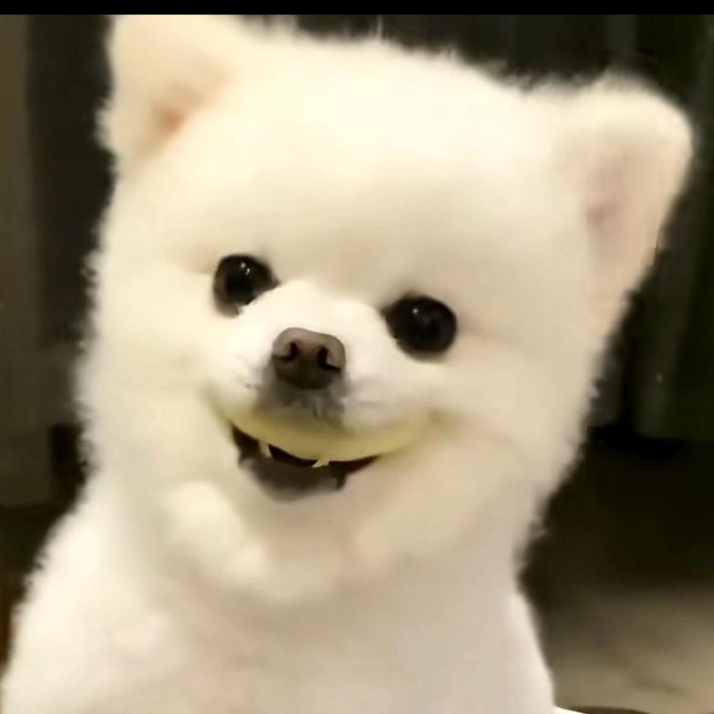 赵二狗！（猛男版）