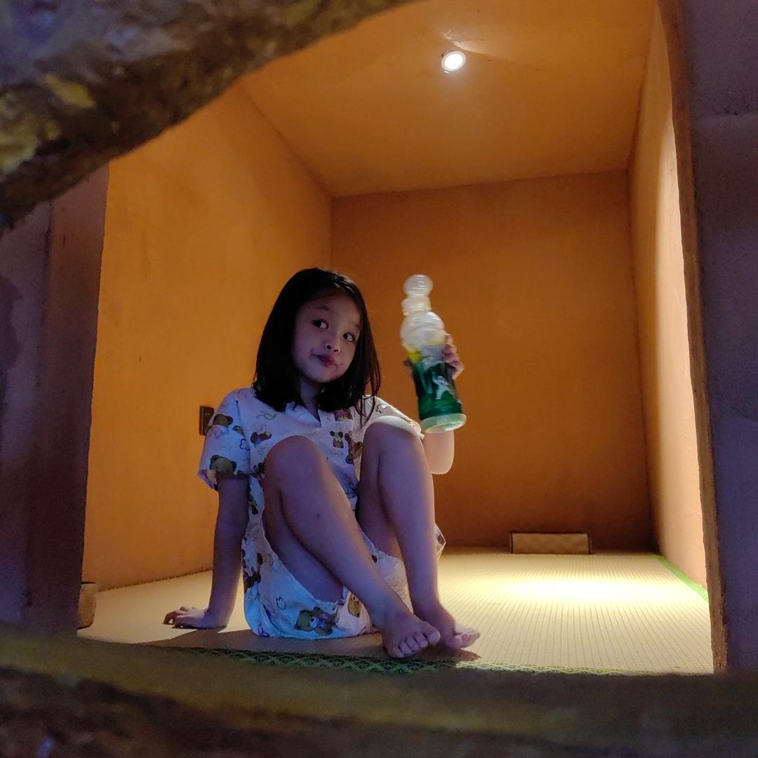 爱诺堡萌宠