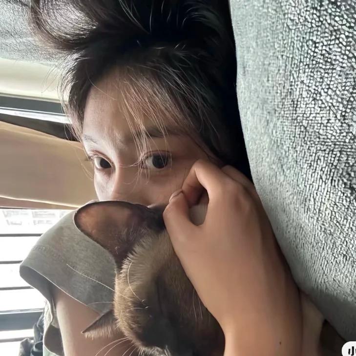y.