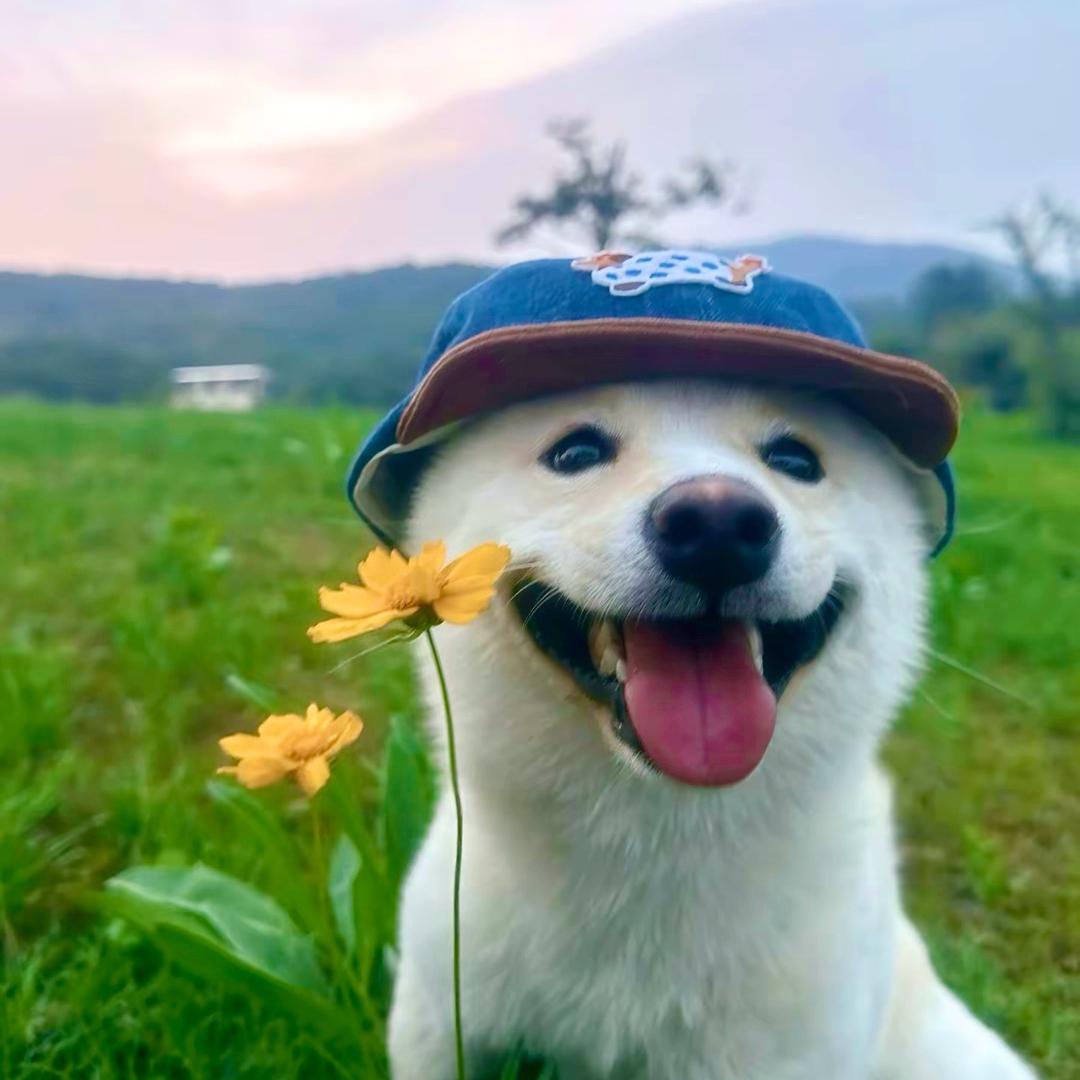 有ｎｉ