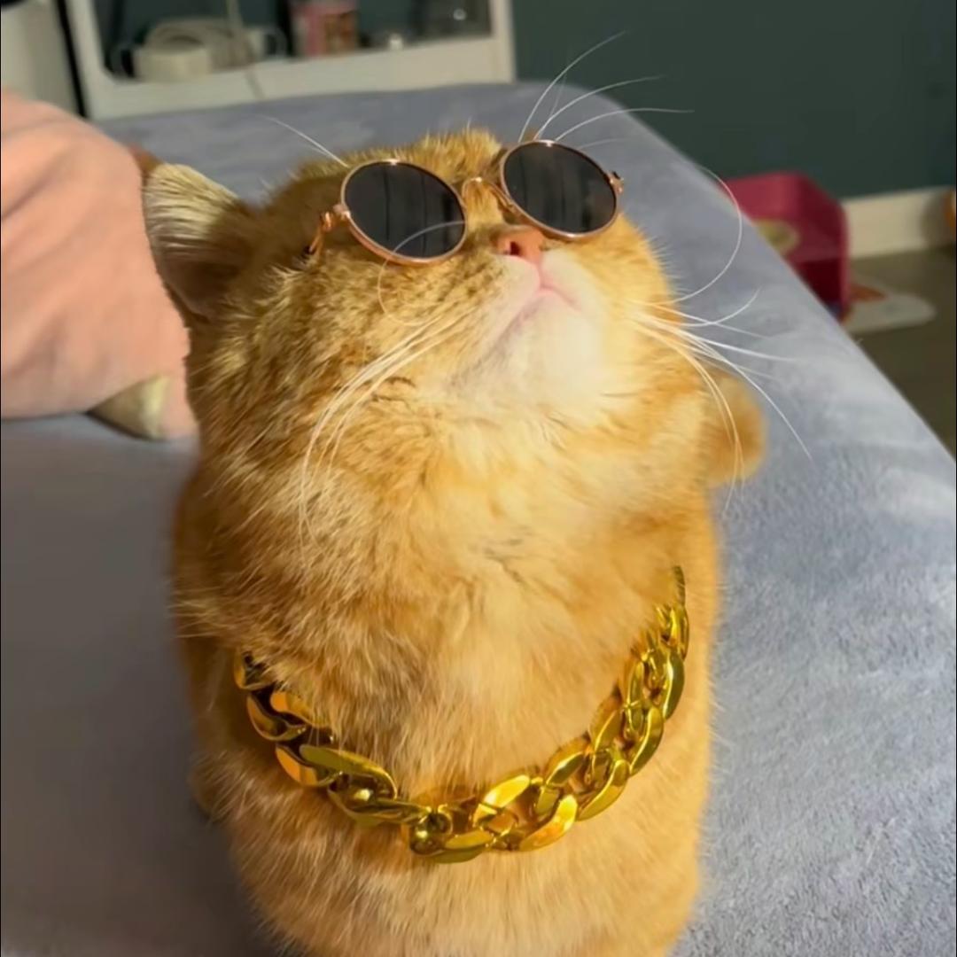 粉笔只有学校有⁹¹⁶