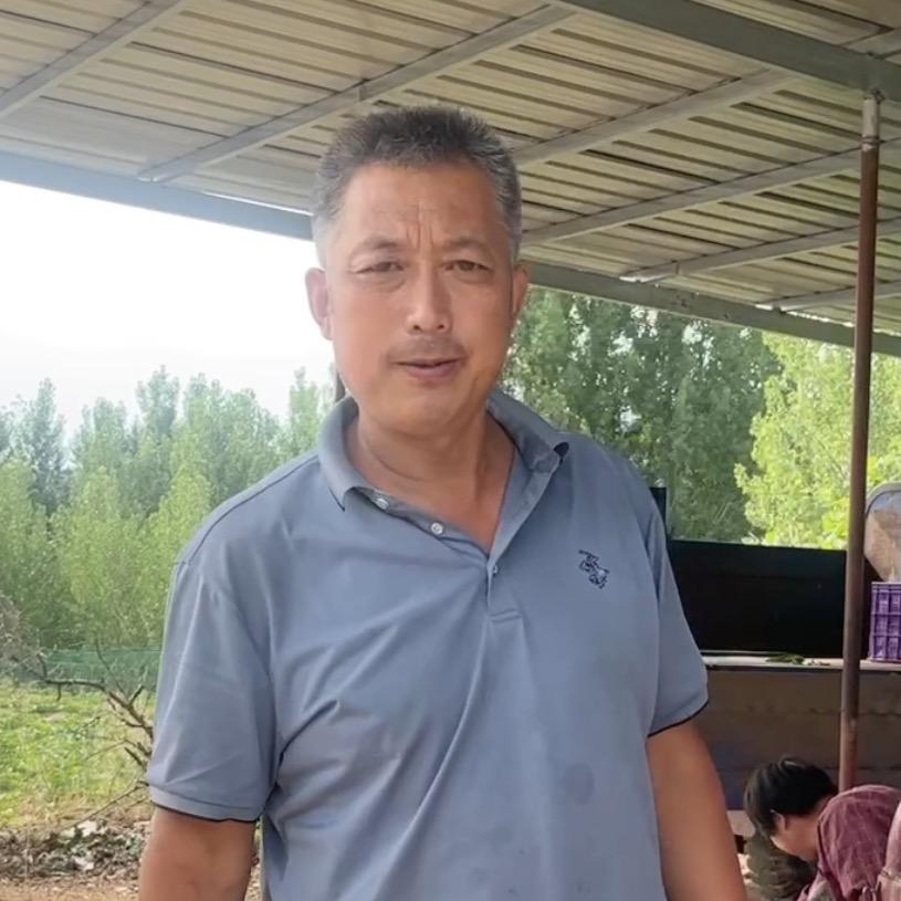 沂蒙桃哥