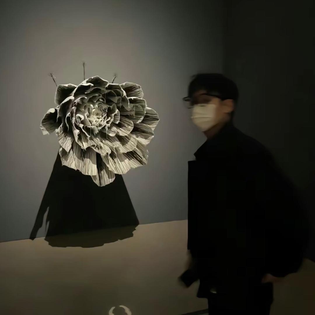 皇星