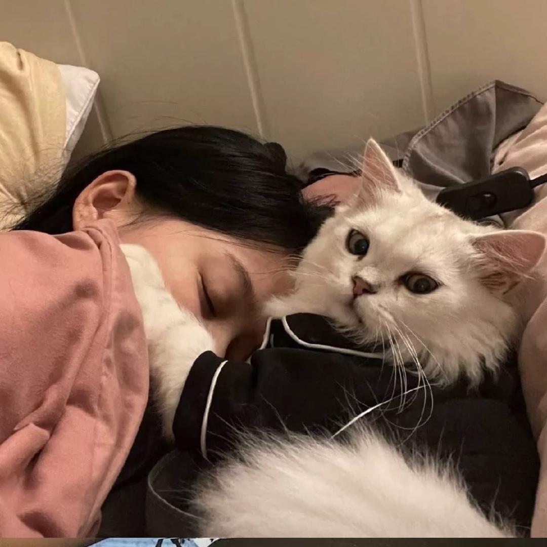 贺-