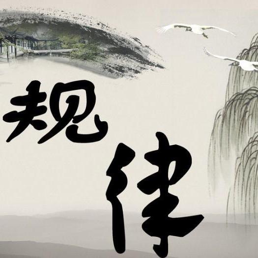 🐝🐝🐝原来我们都是路过