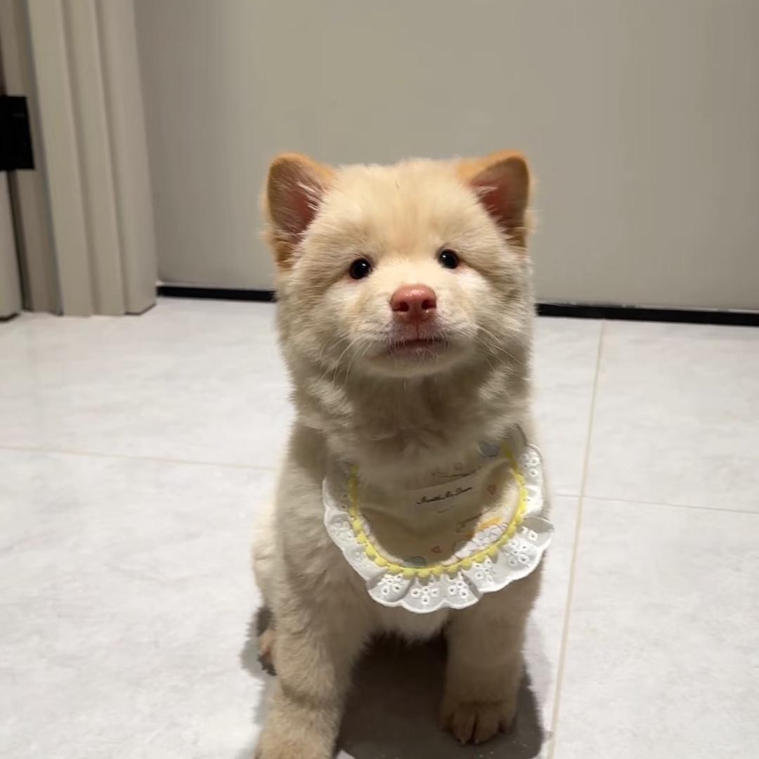 小小咸鱼-