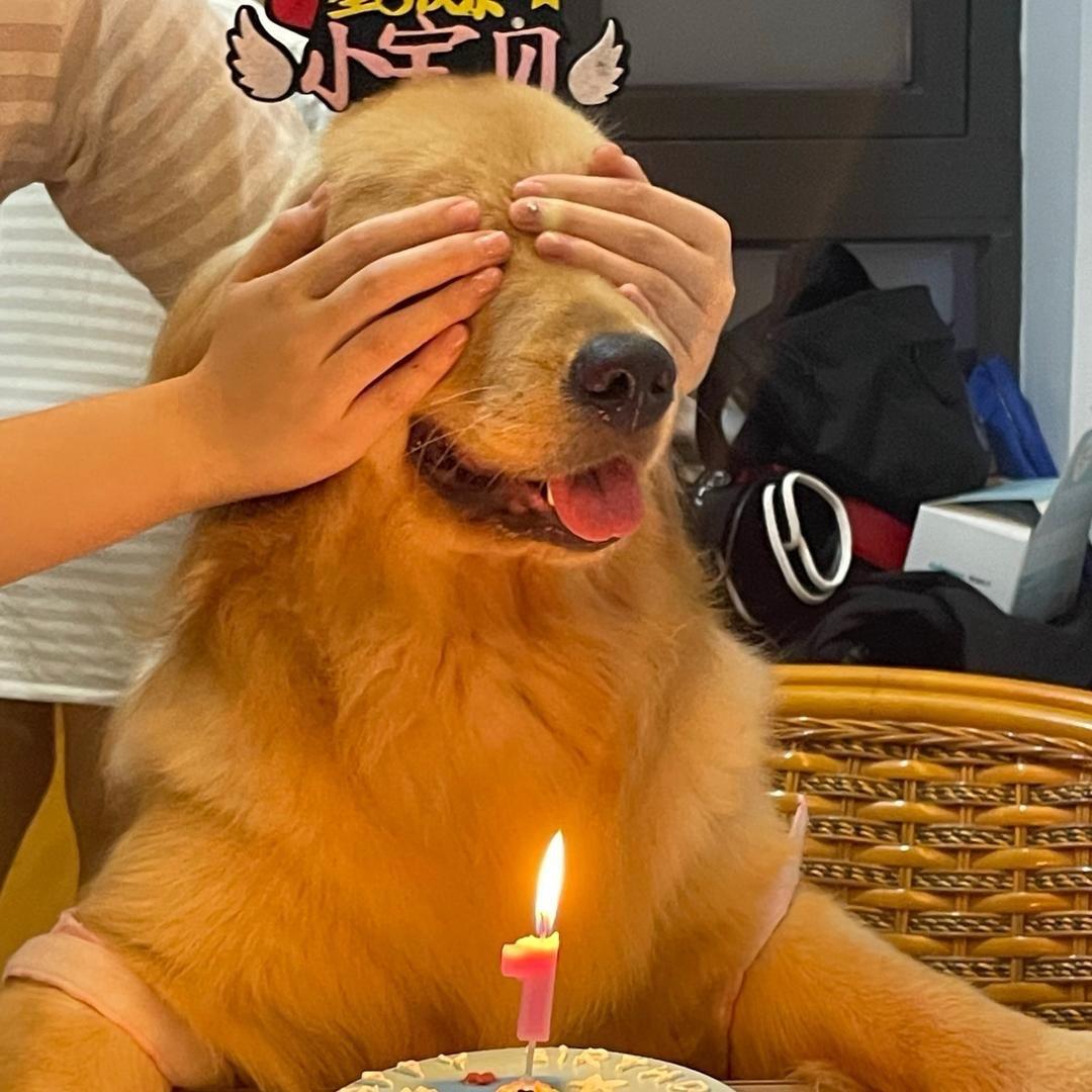 九点准时睡