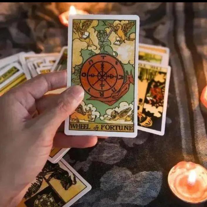 木哥的情感星塔屋