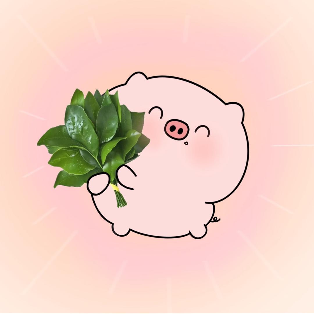 爆爆小虎牙